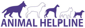 Save Dogs Line Dogs for Adoption – Animal Helpline